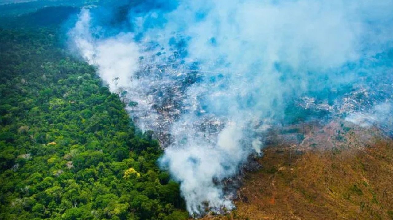 Desmatamento em queda, mas incêndios na Amazônia alcançam recorde histórico Lorena Bueri