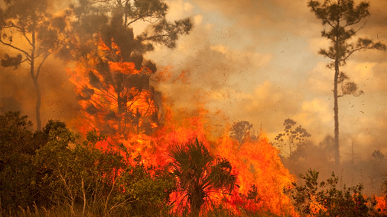 Regiões atingidas por incêndios nos EUA suspendem ordem de evacuação Lorena Bueri