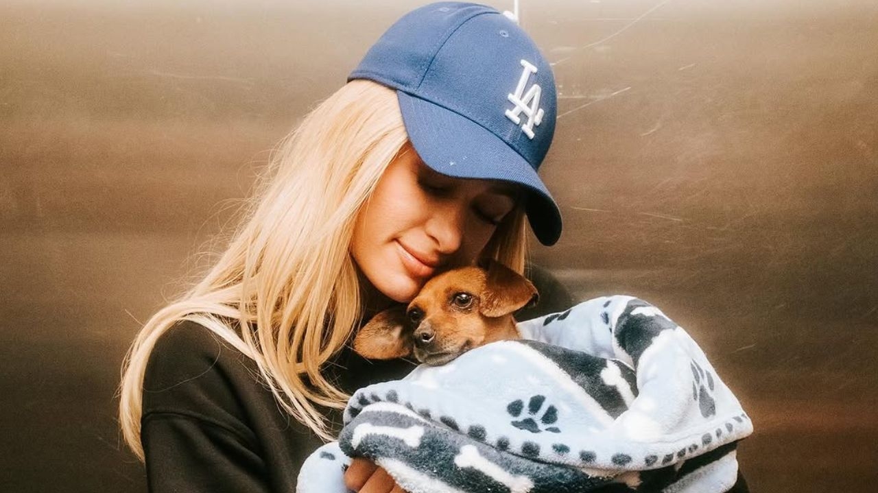 Paris Hilton adota Zuzu, cachorra desabrigada após incêndios que atingem Los Angeles  Lorena Bueri