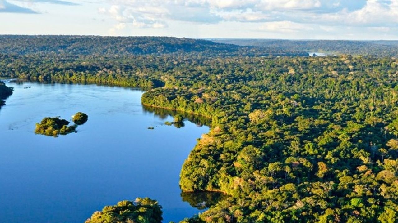 Brasil é o segundo país mais perigoso para os ativistas ambientais Lorena Bueri