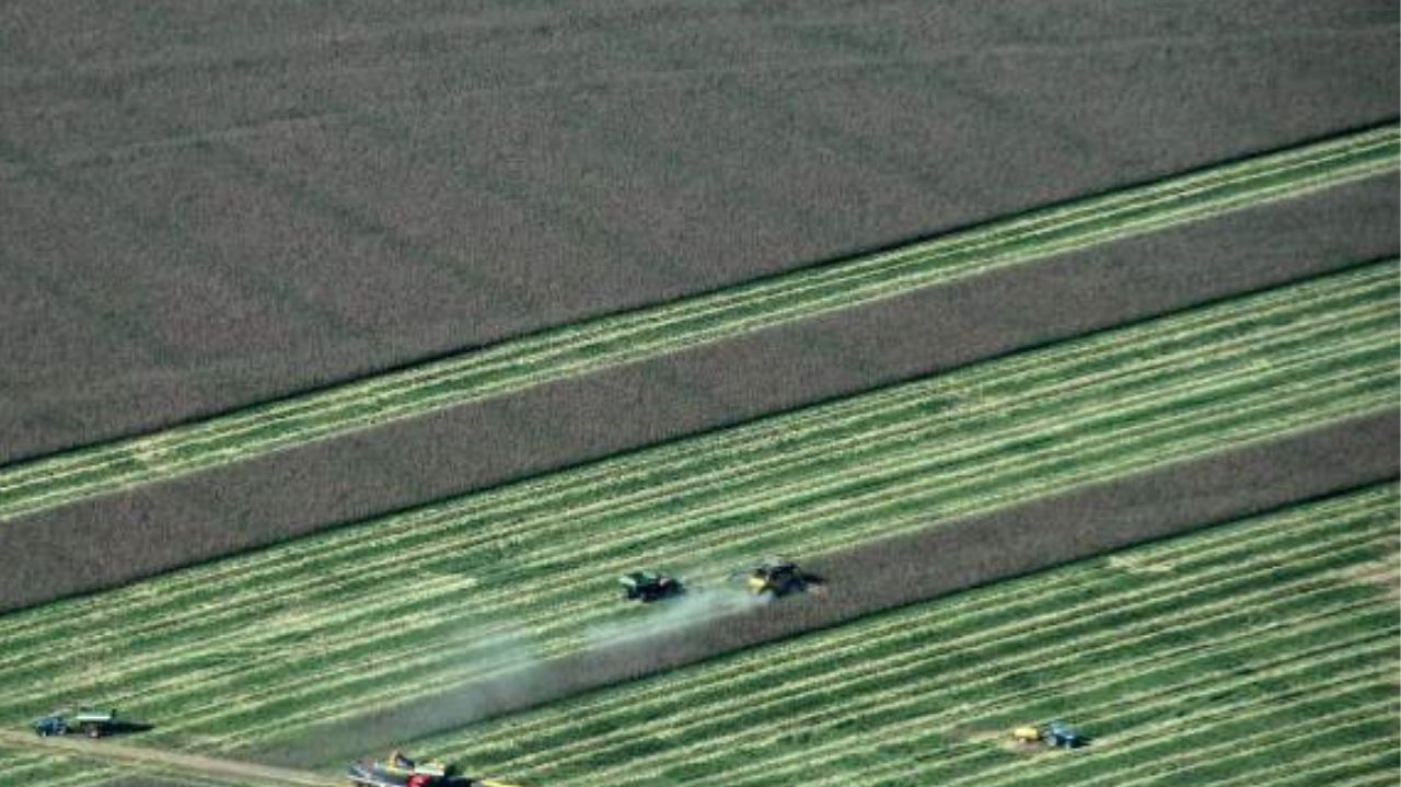 Governo busca solução para Agronegócio com suspensão do Plano Safra Lorena Bueri