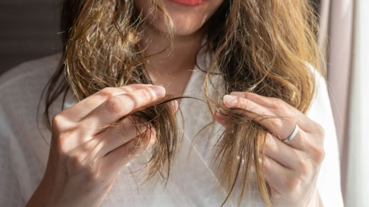 Diga adeus ao frizz: descubra o que causa os fios arrepiados e como cuidar do cabelo Lorena Bueri