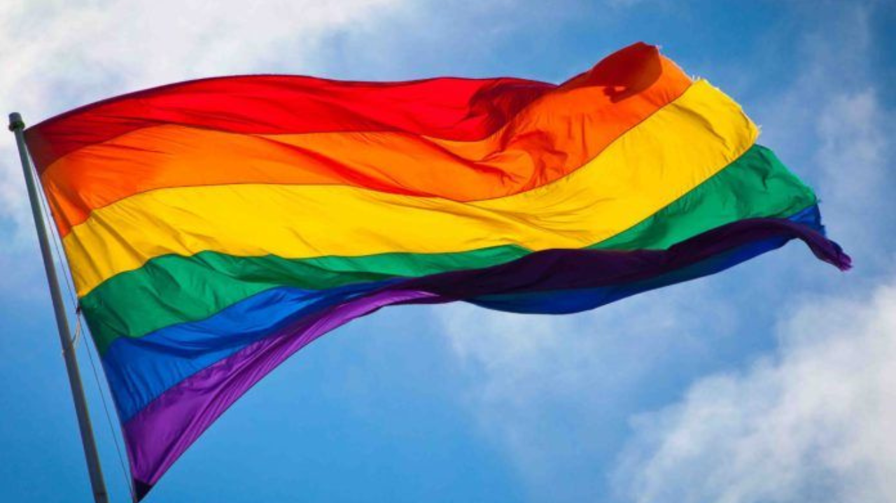 Brasil registra recorde de casamentos homoafetivos em 2023 Lorena Bueri