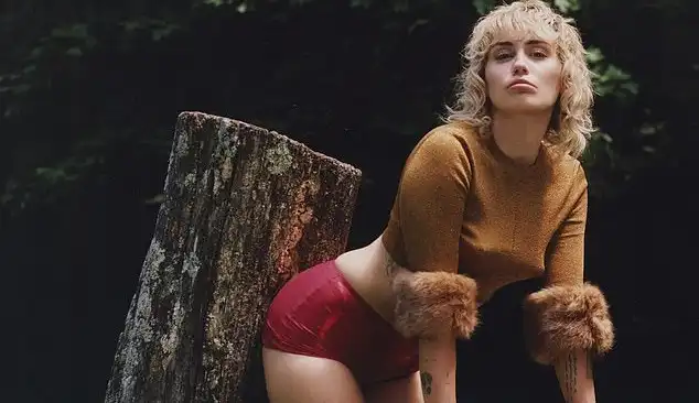 Miley Cyrus usa calcinha de US$ 1,1 mil em ensaio para revista Lorena Bueri