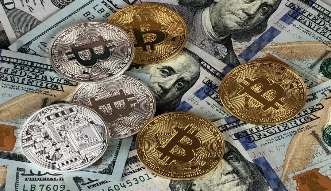 Bitcoin Pro: conheça a plataforma para investidores iniciantes em criptomoedas