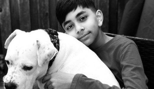 Garoto de 11 anos ajuda cães a serem adotados e ganha prêmio em NY Lorena Bueri
