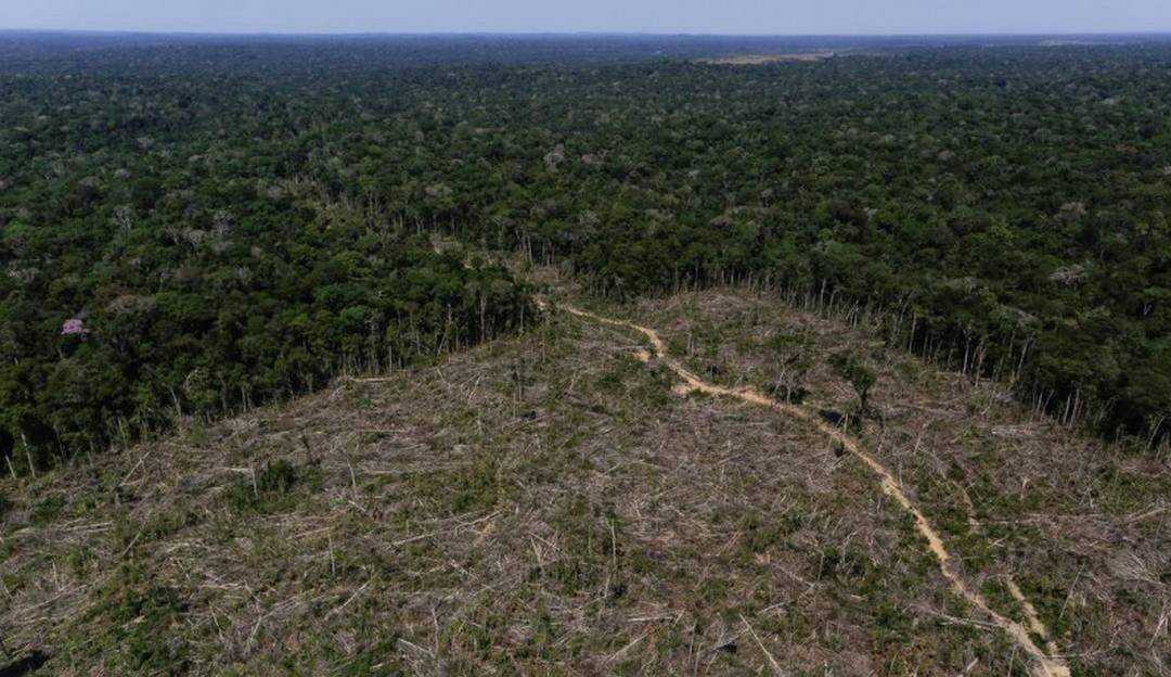 Inpe mostra aumento recorde no desmatamento da Amazônia em outubro de 2021