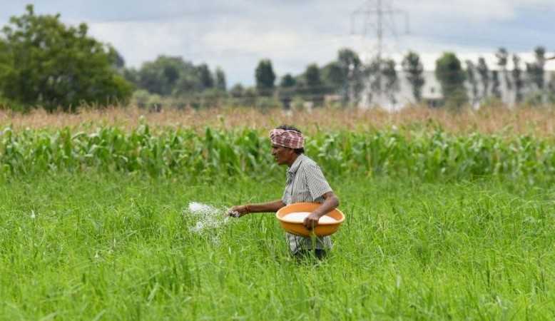 Por que a falta de ureia ameaça produção de alimentos no mundo