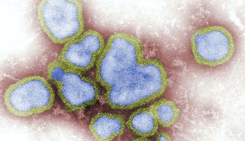 H3N2 e Covid-19: como identificar as diferenças