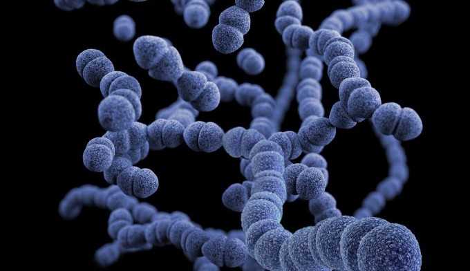 Confirmado caso de “/Super Fungo”/ Candida auris no Brasil