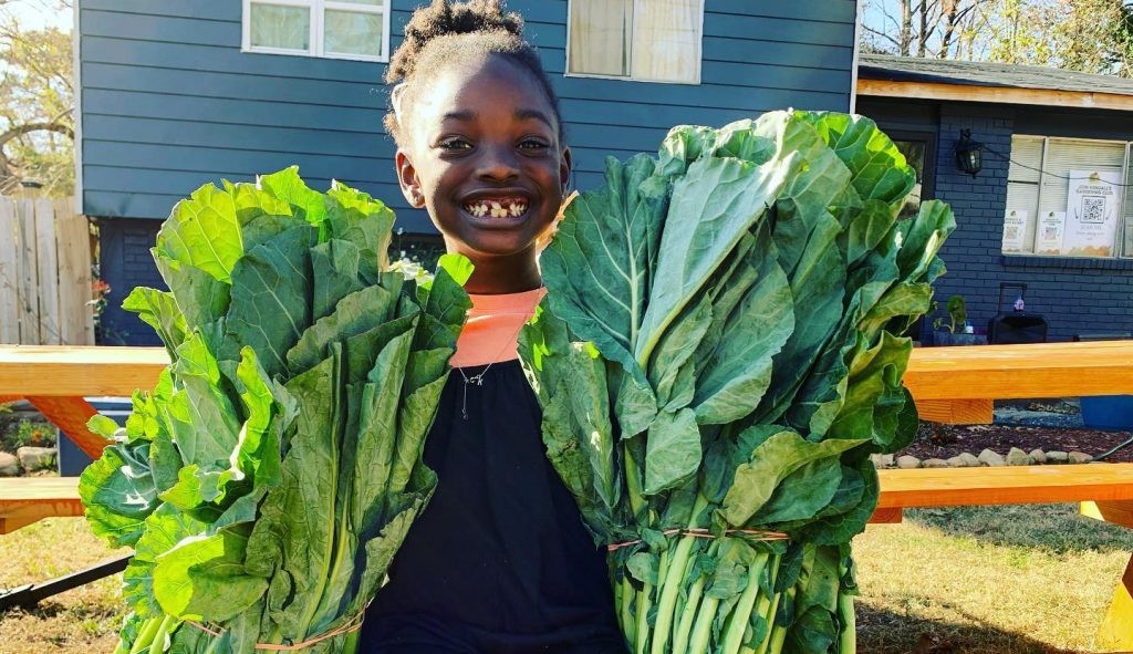 Conheça os benefícios da dieta 100% vegetal