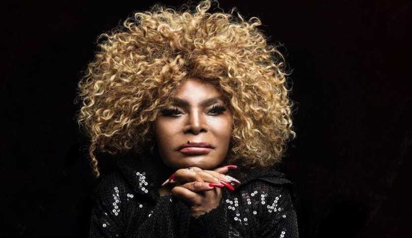 Voz do milênio: relembre a trajetória de Elza Soares