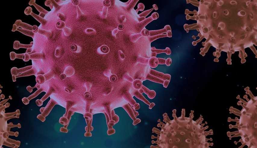 Índice de óbitos no pais chega a 1000 por dia desde o inicio da pandemia
