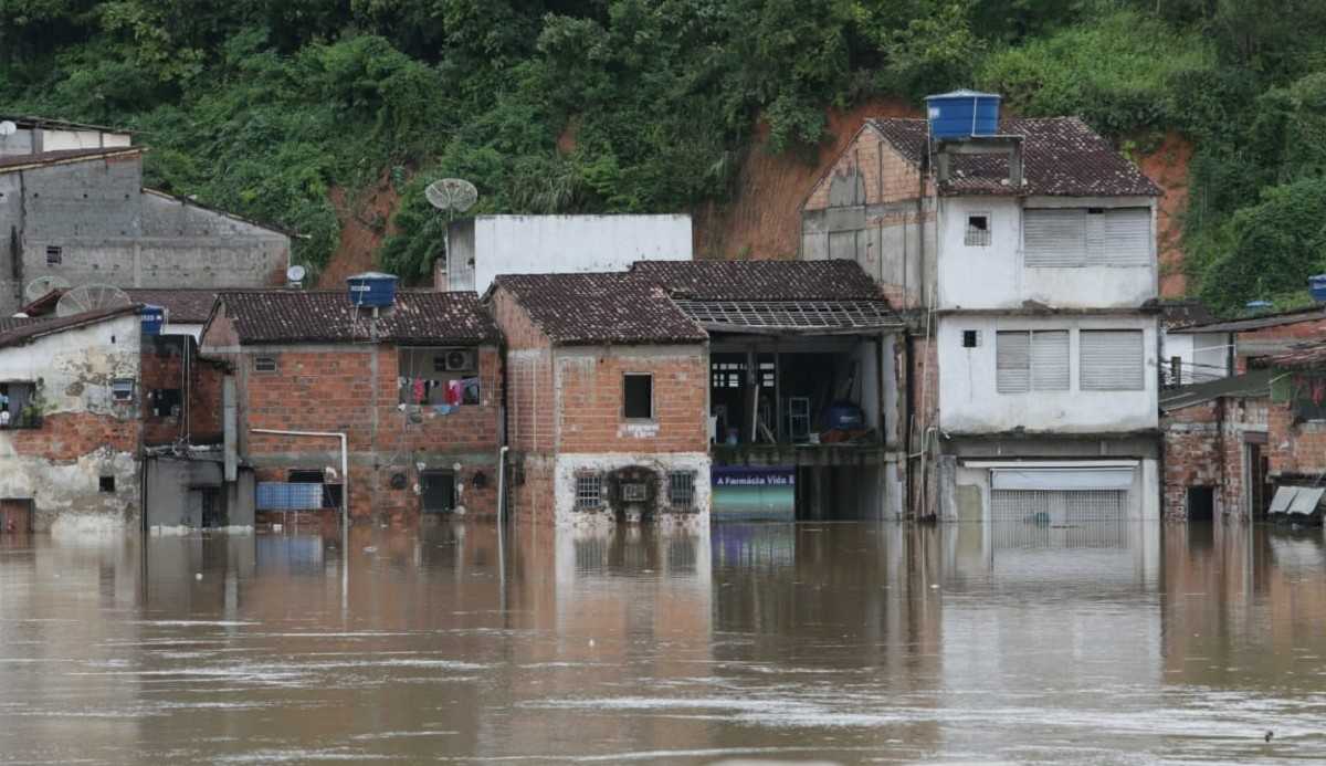 Newsletter “/Crise Climática”/ faz avaliações de soluções para debater emergência global