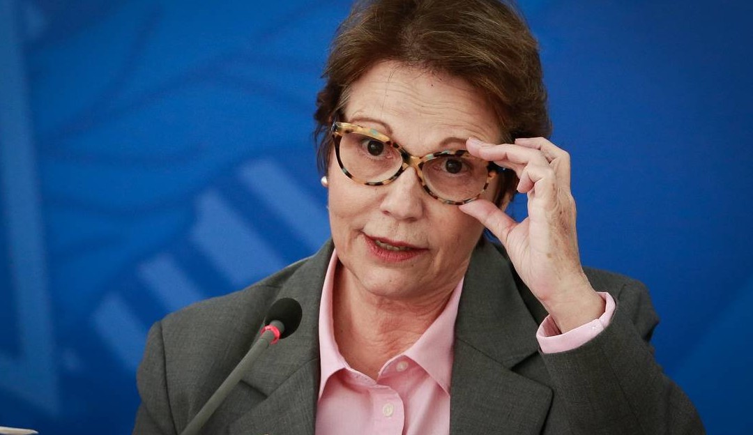 ‘Vai ter alta nos preços dos alimentos’ no Brasil, como efeito da Guerra, segundo a ministra da agricultura