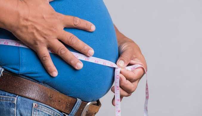 As entidades internacionais unem forças para lutar contra a obesidade