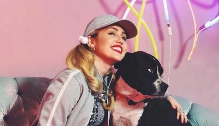 Miley Cyrus se emociona em rede social ao lamentar a morte de seu cachorro