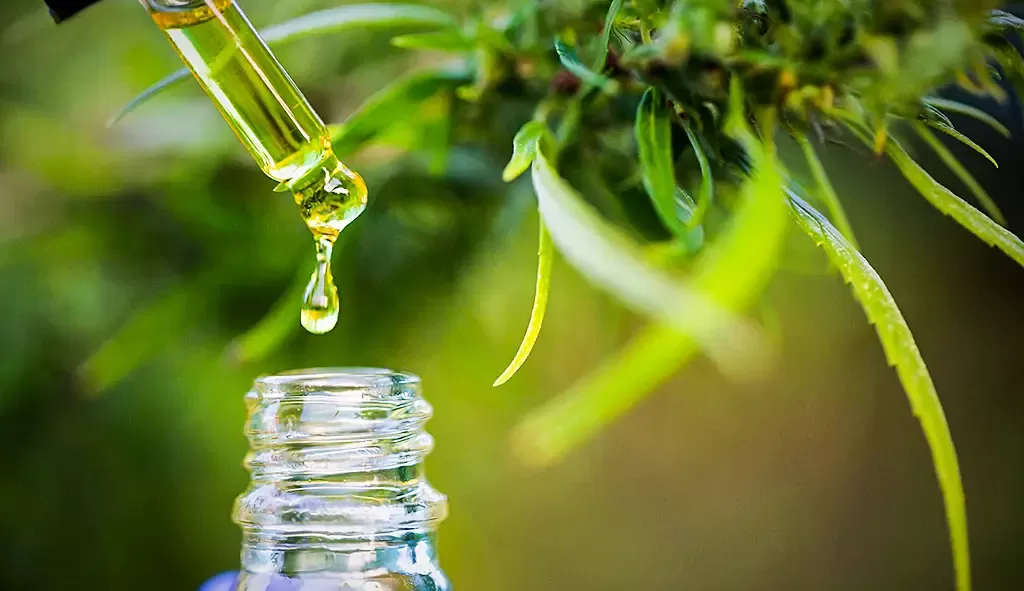 Anvisa aprova o 15º produto à base de Cannabis