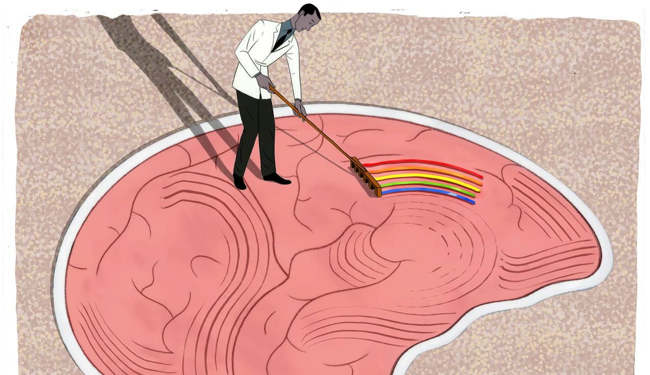 Reserva cognitiva fortalece saúde cerebral e abranda sintomas da demência
