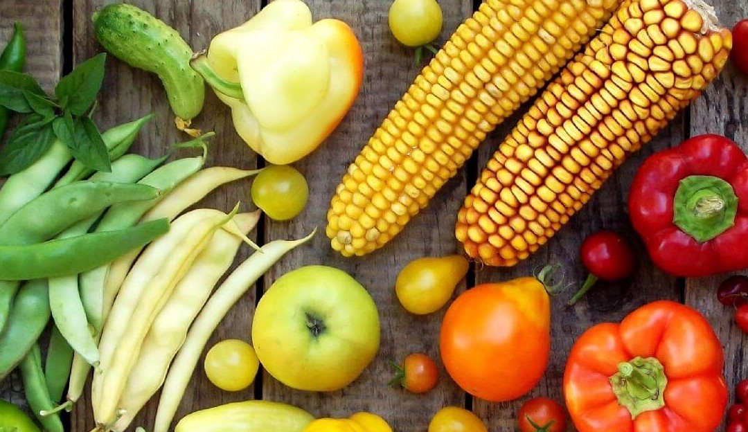 Estudo aponta que dieta à base de plantas pode reduzir risco de Covid-19 grave