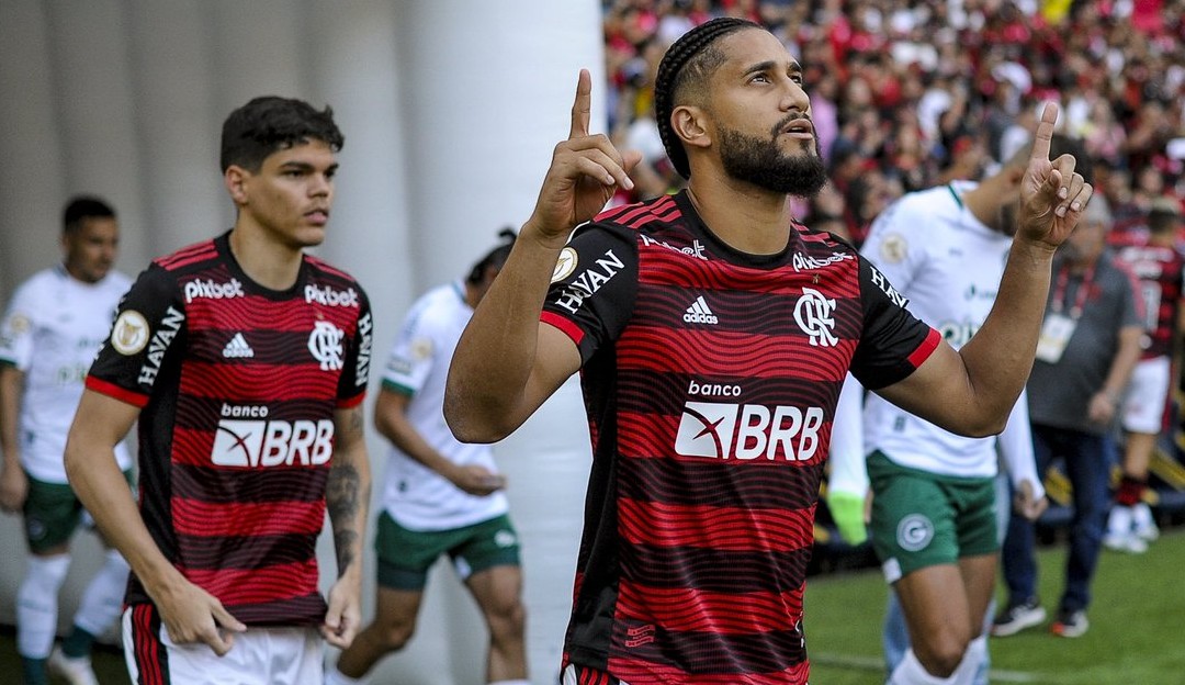 Flamengo supera o Goiás e volta a vencer no campeonato brasileiro