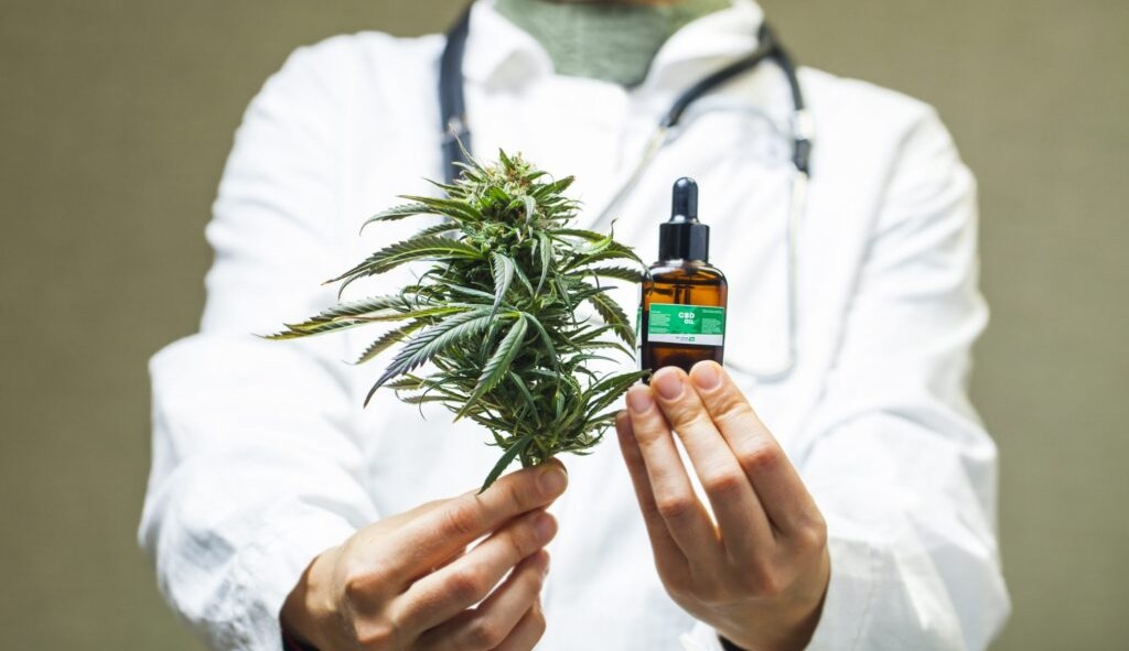 Cannabis medicinal auxilia no tratamento de esclerose múltipla