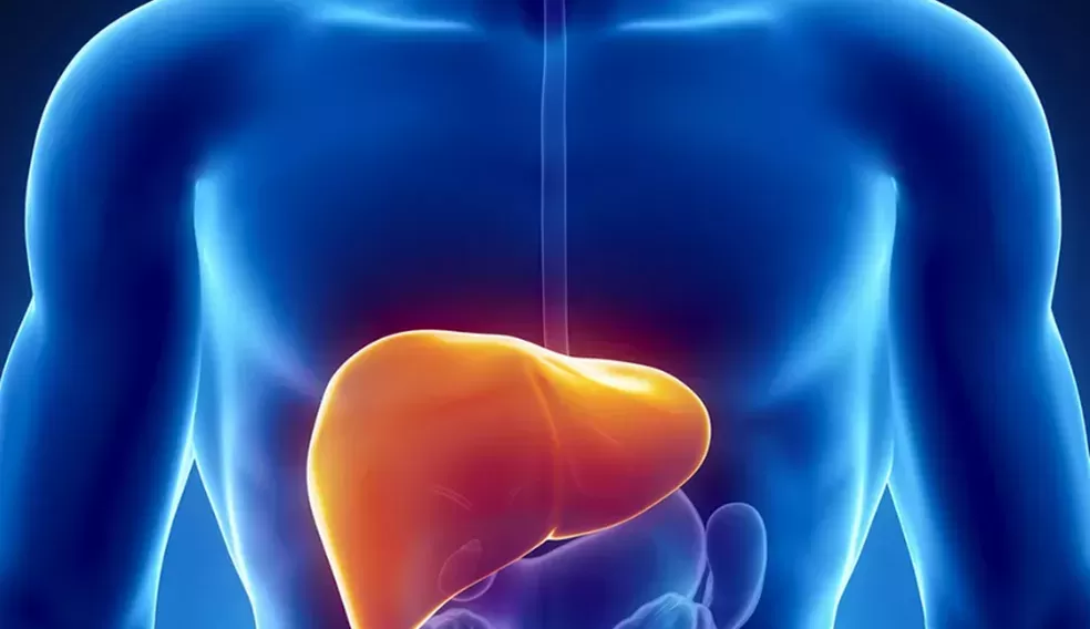 EUA investigam ligação entre Hepatite A e Morango.