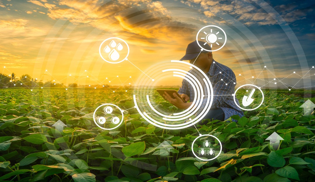 A Blockchain ganhou espaço na agro indústria. Entenda como a tecnologia está atuando nesta área