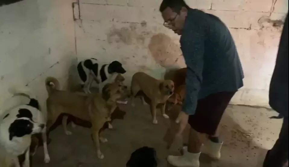 Equipe resgata 12 cães que estavam em canil quase soterrado pela lama em Recife