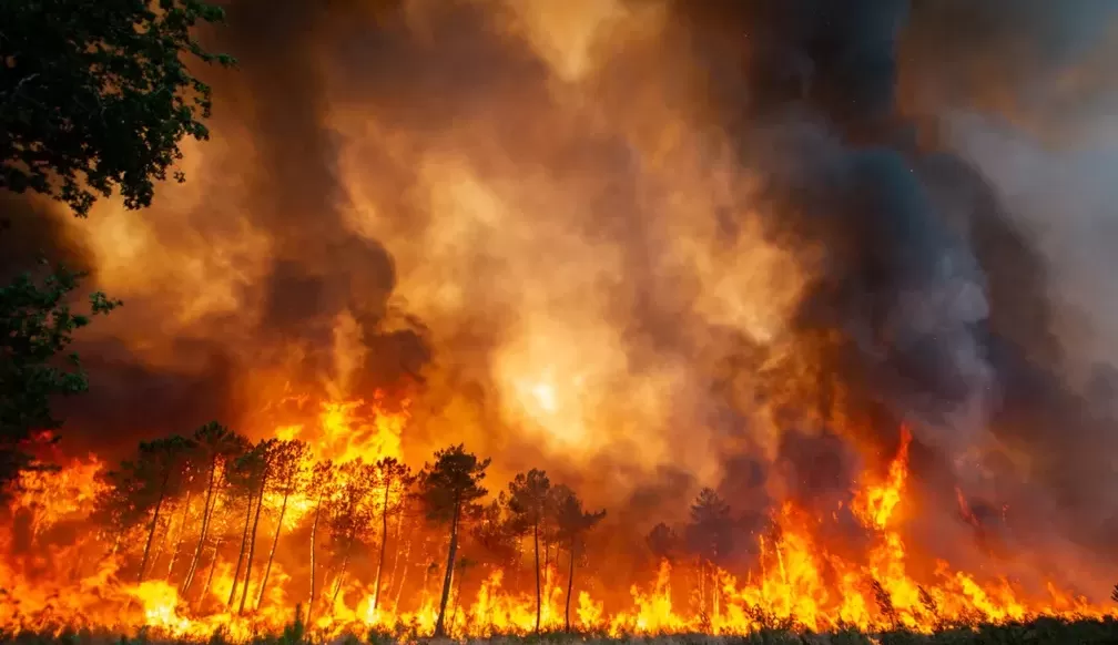 Altas temperaturas causam mais de mil mortes na Europa