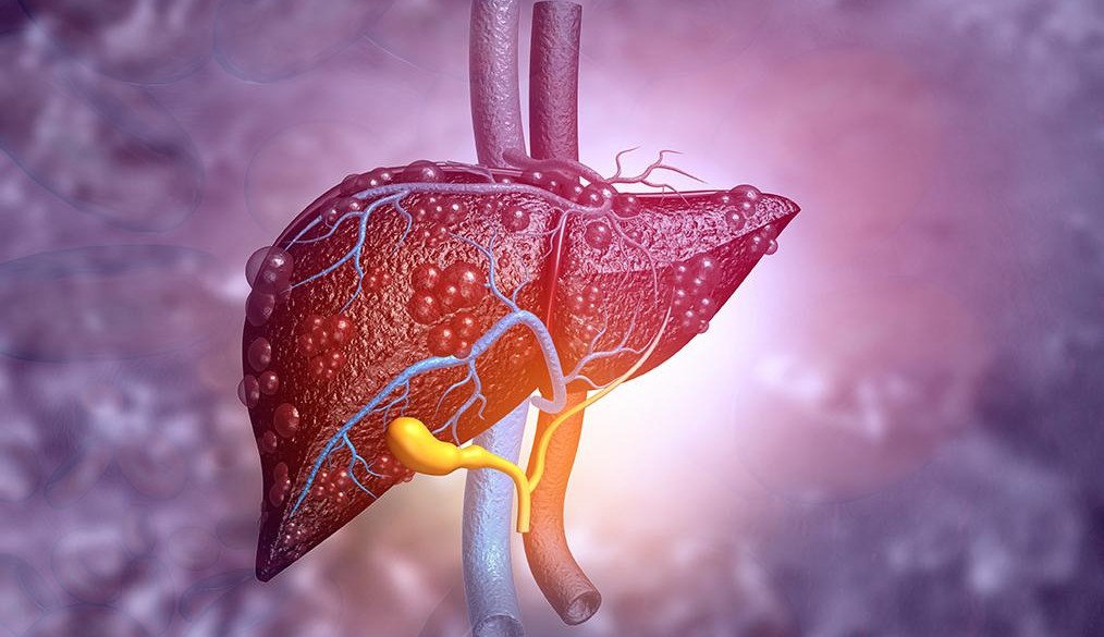 Conheça os tipos e os riscos da hepatite