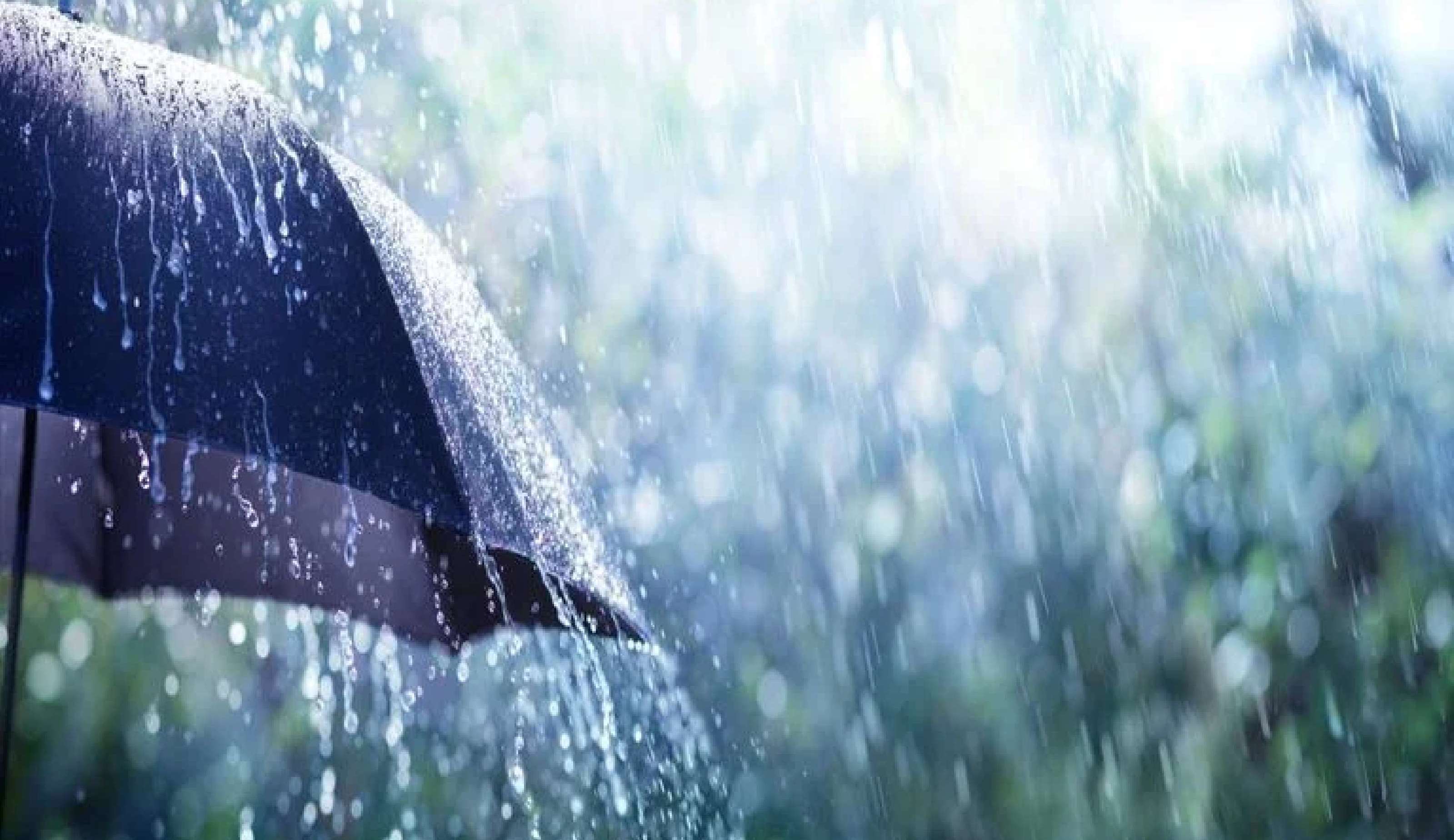 Previsão do tempo: Chuva Intensa e uma nova frente fria chegam ao Sul do Brasil