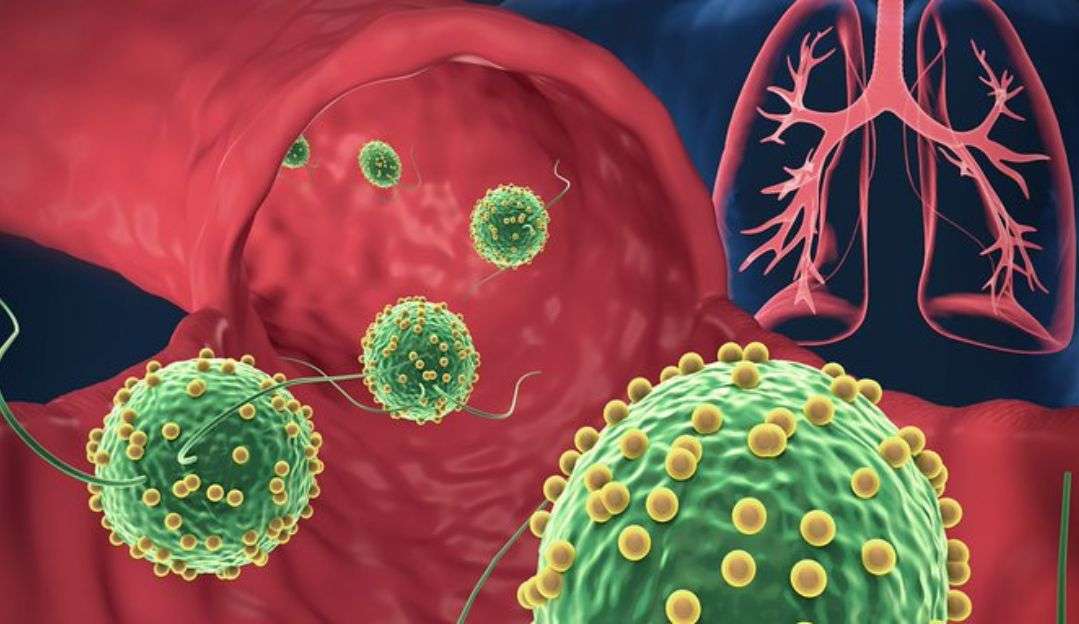 Microrobôs conseguem curar pneumonia em camundongos, segundo experimento