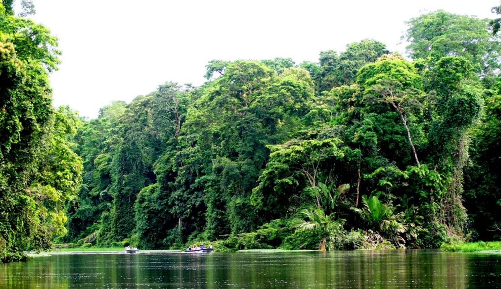 Pesquisa mostra que executivos acreditam que investir em sustentabilidade traz benefícios econômicos no Brasil