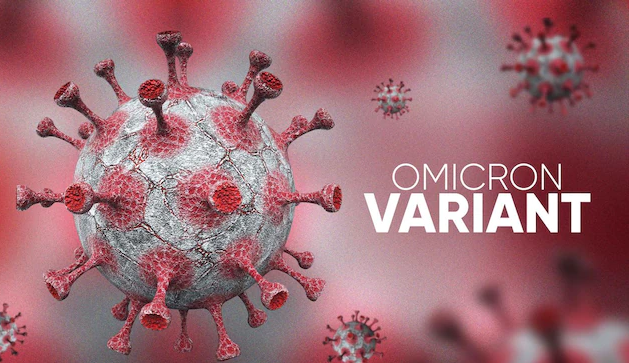 Vacina da Pfizer apresenta resposta contra nova subvariante da ômicron BQ.1