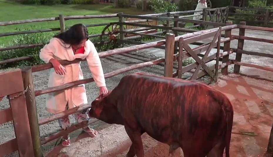 A Fazenda 14: Bia se despedem dos animais da sede