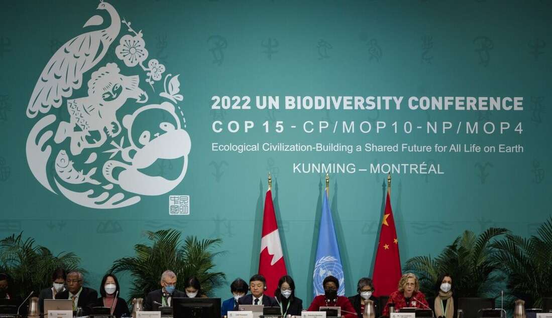 Quase 200 países assinaram Acordo para proteção da biodiversidade