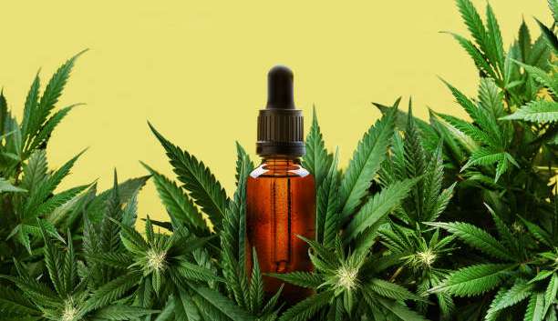 Cannabis Medicinal: uma esperança para os autistas