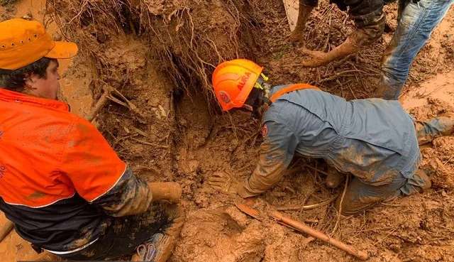 Cachorro fica soterrado em deslizamento de terra e é resgatado pelo Corpo de Bombeiros em São Paulo