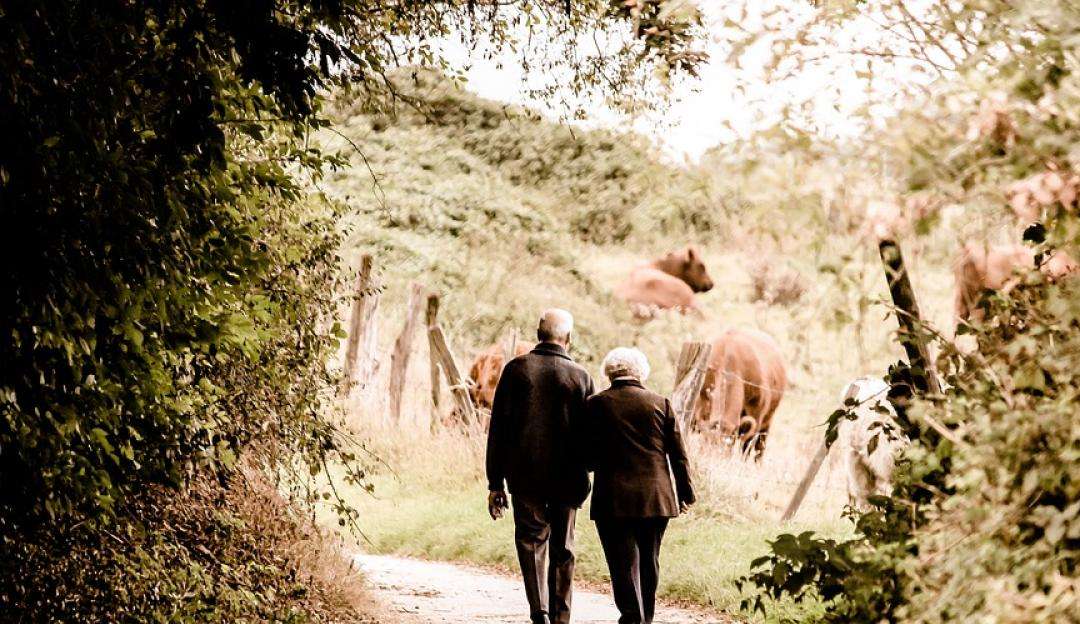 Parkinson e Alzheimer: morar perto de áreas com natureza ajuda a retardar a progressão das doenças