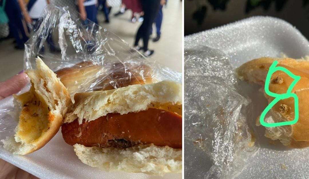 Colégio em Trindade é notificado por larvas em sua cantina