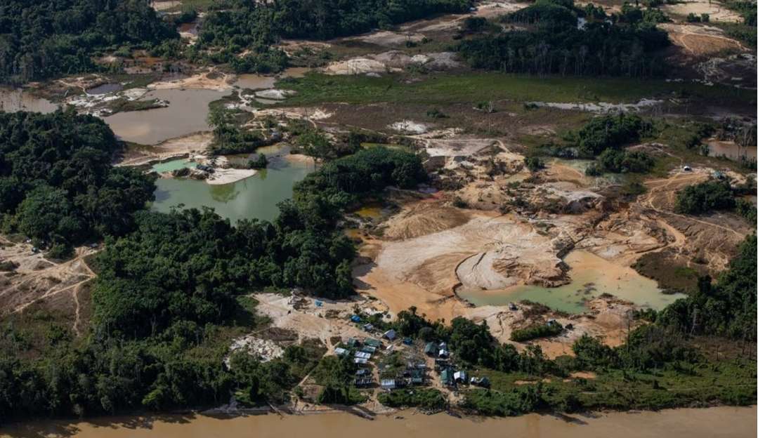 Incêndios florestais no território Yanomami caem 62% no primeiro bimestre