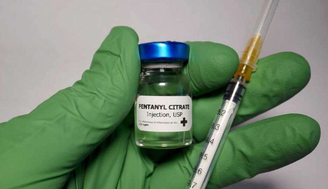 Apreensão de fentanil no Brasil gera alerta para autoridades de saúde