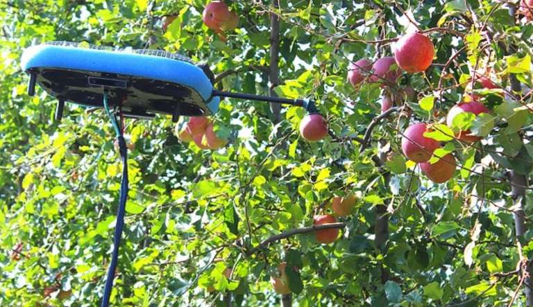 Problemas na produção agrícola da Califórnia impulsonam inovações tecnológicas no setor