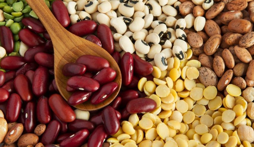 Ministério da Agricultura apreende feijões impróprios para consumo