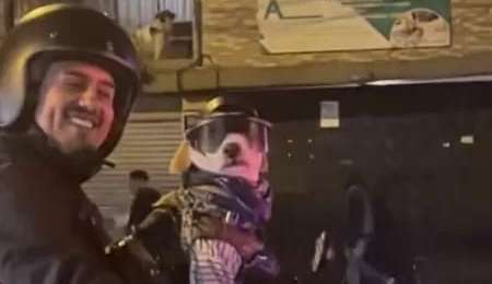 Vídeo de cachorro motociclista encanta e repercute nas redes sociais