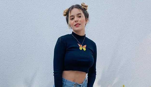 Viih Tube posta ligação de vídeo com Karol Conká, Caio, Nego Di, Pocah, Arthur, Projota e Thaís