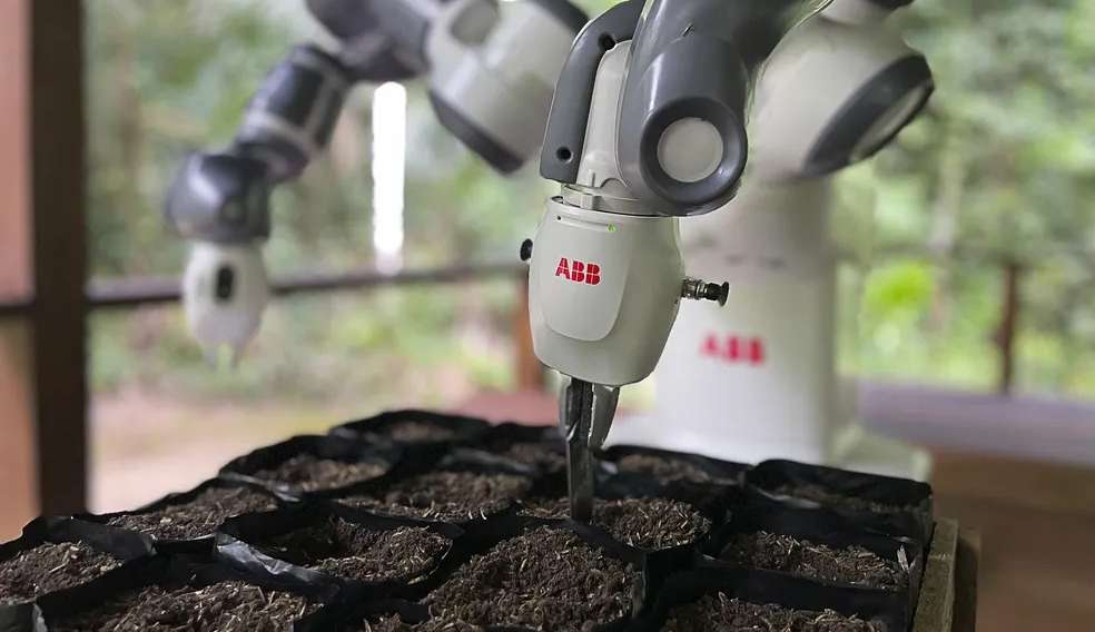 Robô pode ser solução para reflorestamento da Floresta Amazônica