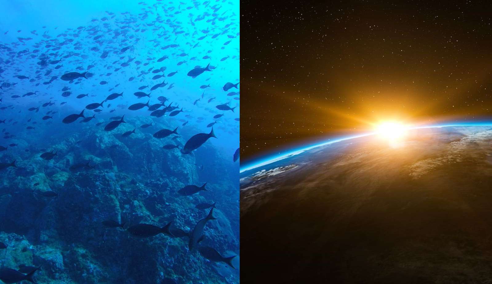 Das profundezas do oceano ao espaço: As fascinações dos ricos pelas aventuras extremas