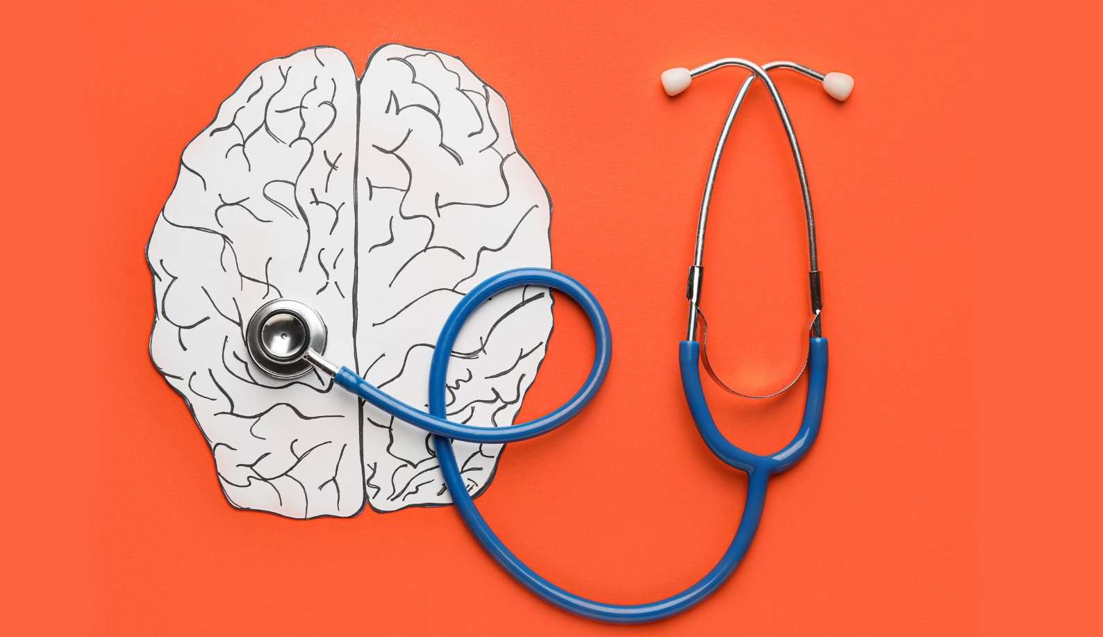 Estudo inédito revela novo mecanismo para combater a Epilepsia